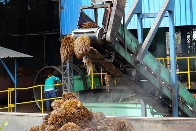 Industri Minyak Sawit Indonesia Dilirik Peru